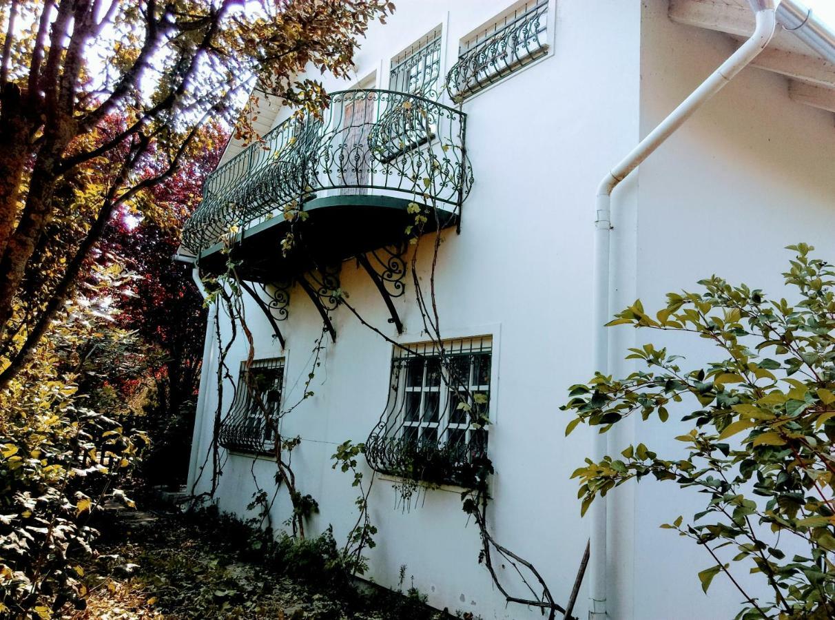 Fesztival Nyaralohaz Apartment Zamárdi Екстериор снимка